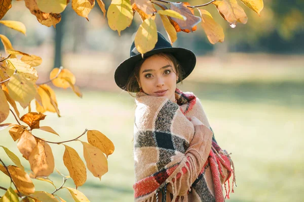 Zbliżenie Jesienny Portret Pięknej Młodej Kobiety Parku — Zdjęcie stockowe