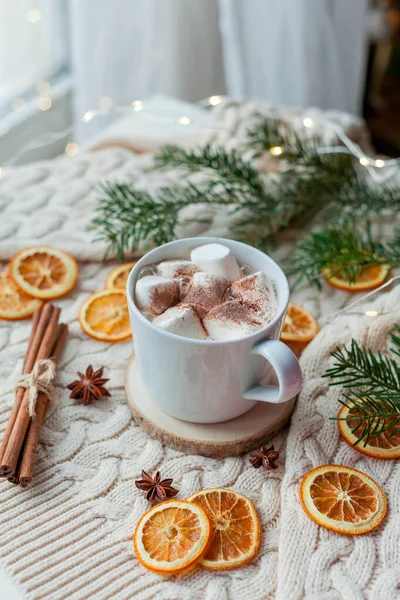 Christmas Home Decor Cocoa Marshmallows — Stock Photo, Image