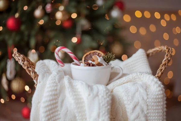 Weidenkorb Strickpullover Getrocknete Zitrusfrüchte Zimtstangen Weihnachtsplätzchen Weihnachtsbeleuchtung Kuscheliger Winter — Stockfoto