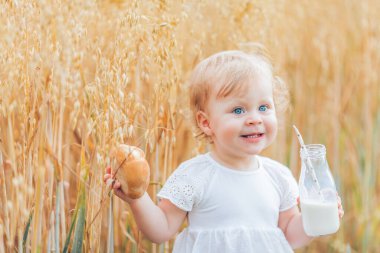 Cam şişeden süt içen, buğday tarlasında ekmek yiyen küçük bir kızın yakın çekimi. Yaz.