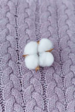 Pamuk örülmüş mor bir kazağın üzerinde yatar. Samimi.