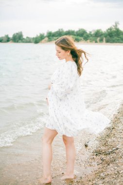 Deniz kenarında güzel bir elbise giymiş hamile bir kadın. Piknik.