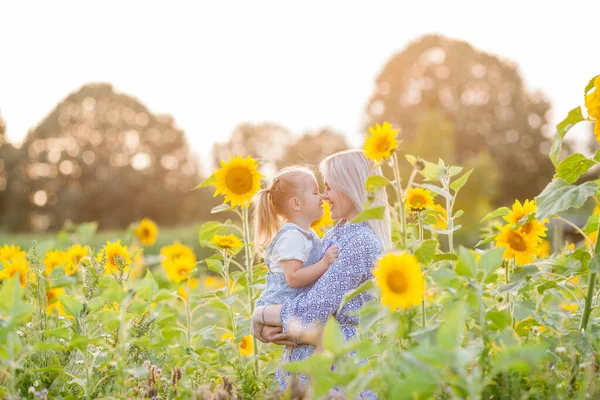 Mom Little Daughter Years Old Sunflower Field Summer Sunset Family —  Fotos de Stock