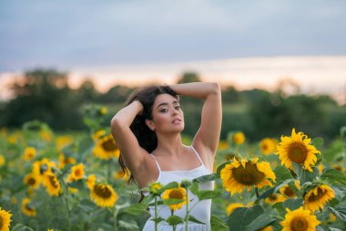 Gün batımında bir ayçiçeği tarlasında siyah saçlı güzel bir kadının portresi. Mutlu.
