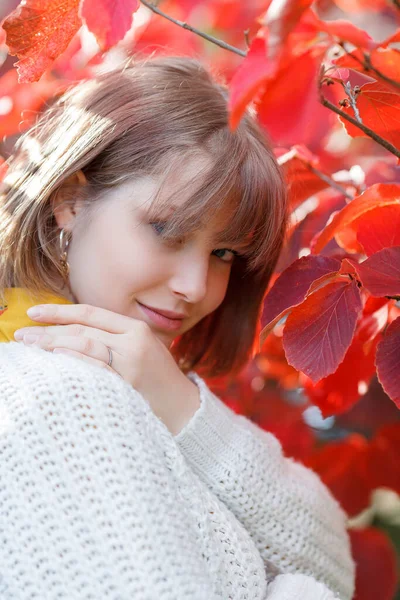 Portret Pięknej Młodej Kobiety Jesiennym Ogrodzie Jasne Kolory Jesieni Spadek — Zdjęcie stockowe