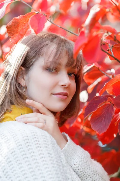 Портрет Красивої Молодої Жінки Осінньому Саду Яскраві Осінні Кольори Падіння — стокове фото