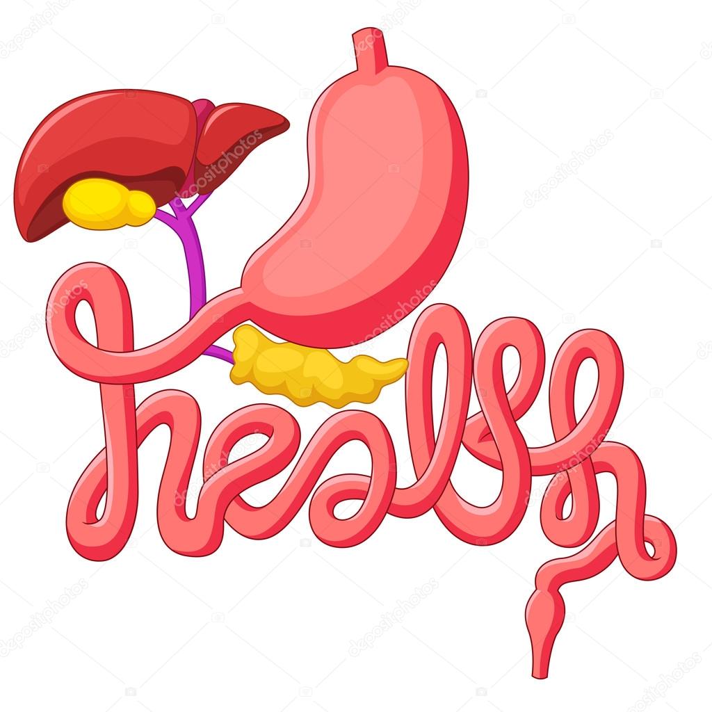 Health campaign symbol human digestive system cartoon