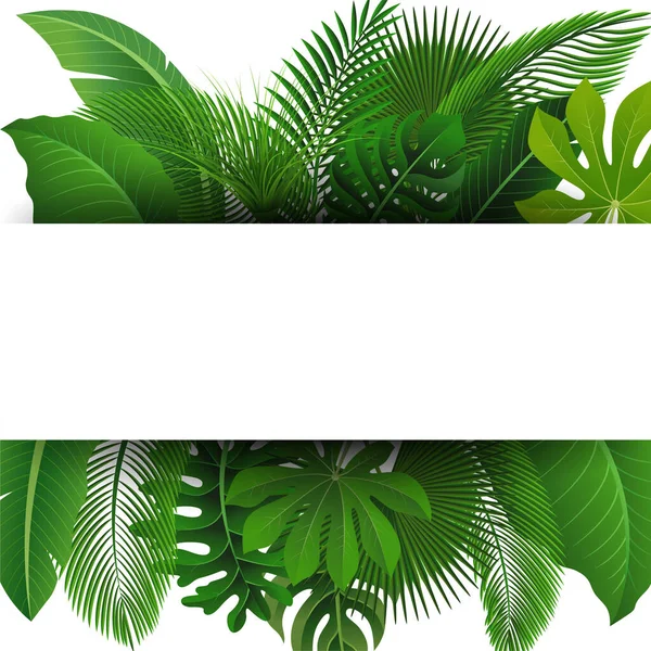 Signez Avec Espace Texte Feuilles Tropicales Convient Pour Concept Nature — Image vectorielle