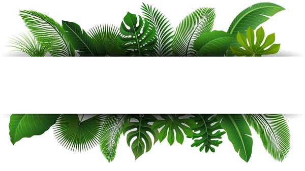 Signez Avec Espace Texte Feuilles Tropicales Convient Pour Concept Nature — Image vectorielle