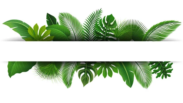 Signez Avec Espace Texte Feuilles Tropicales Convient Pour Concept Nature — Image vectorielle