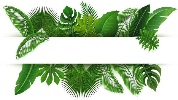 Skriv Med Textutrymmet Tropical Leaves Lämplig För Naturkoncept Semester Och — Stock vektor