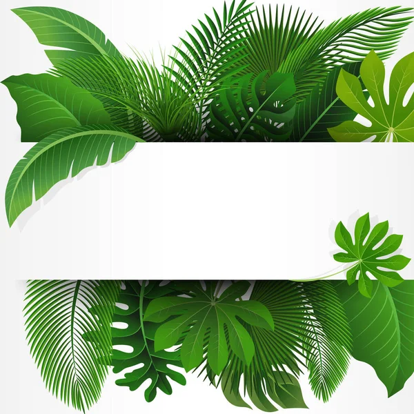 Signez Avec Espace Texte Feuilles Tropicales Convient Pour Concept Nature — Image vectorielle