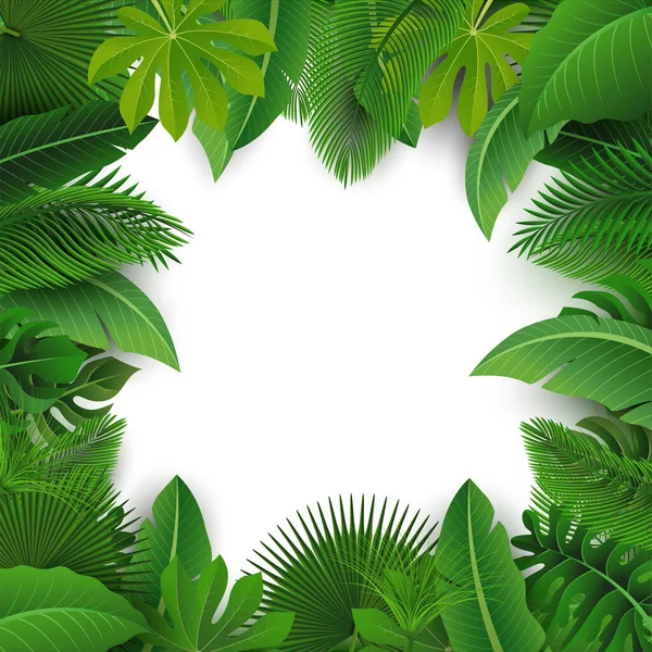 Hintergrund Mit Textfläche Von Tropical Leaves Geeignet Für Naturkonzept Urlaub — Stockvektor