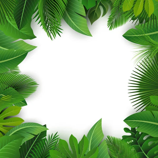 Arrière Plan Avec Espace Texte Tropical Leaves Convient Pour Concept — Image vectorielle