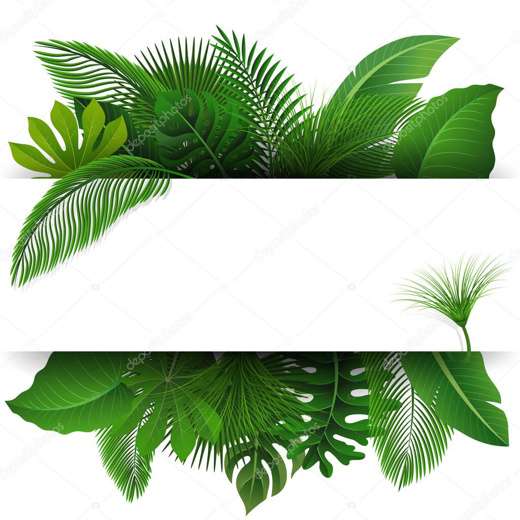 Sign with text space of Tropical Leaves. Suitable for nature concept, vacation, and summer holiday. Vector Illustration