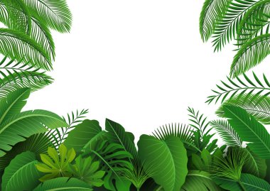 Background of Tropical Leaves. Suitable for nature concept, vacation, and summer holiday. Vector Illustration clipart