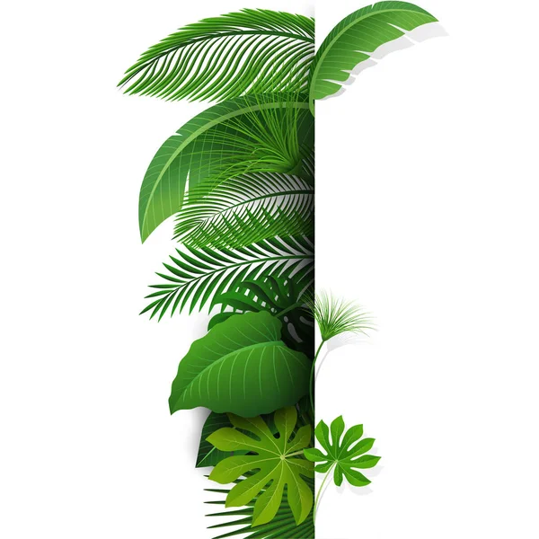 Zeichen Mit Textfläche Von Tropical Leaves Geeignet Für Naturkonzept Urlaub — Stockvektor