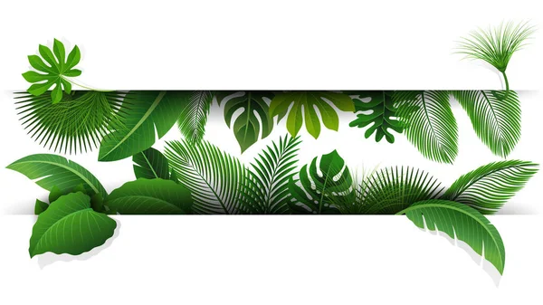 Signez Avec Espace Texte Feuilles Tropicales Convient Pour Concept Nature — Image vectorielle