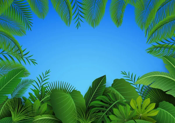 Antecedentes Hojas Tropicales Adecuado Para Concepto Naturaleza Vacaciones Vacaciones Verano — Vector de stock