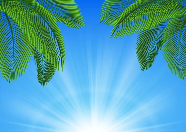 热带树叶的背景 适用于自然概念 假期和暑假 病媒图解 — 图库矢量图片