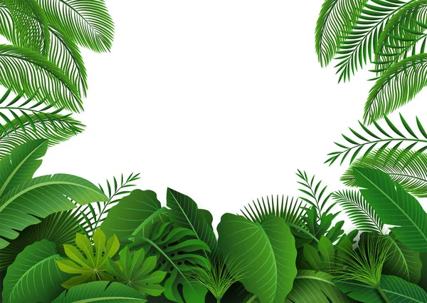 Contexte Des Feuilles Tropicales Convient Pour Concept Nature Les Vacances — Image vectorielle