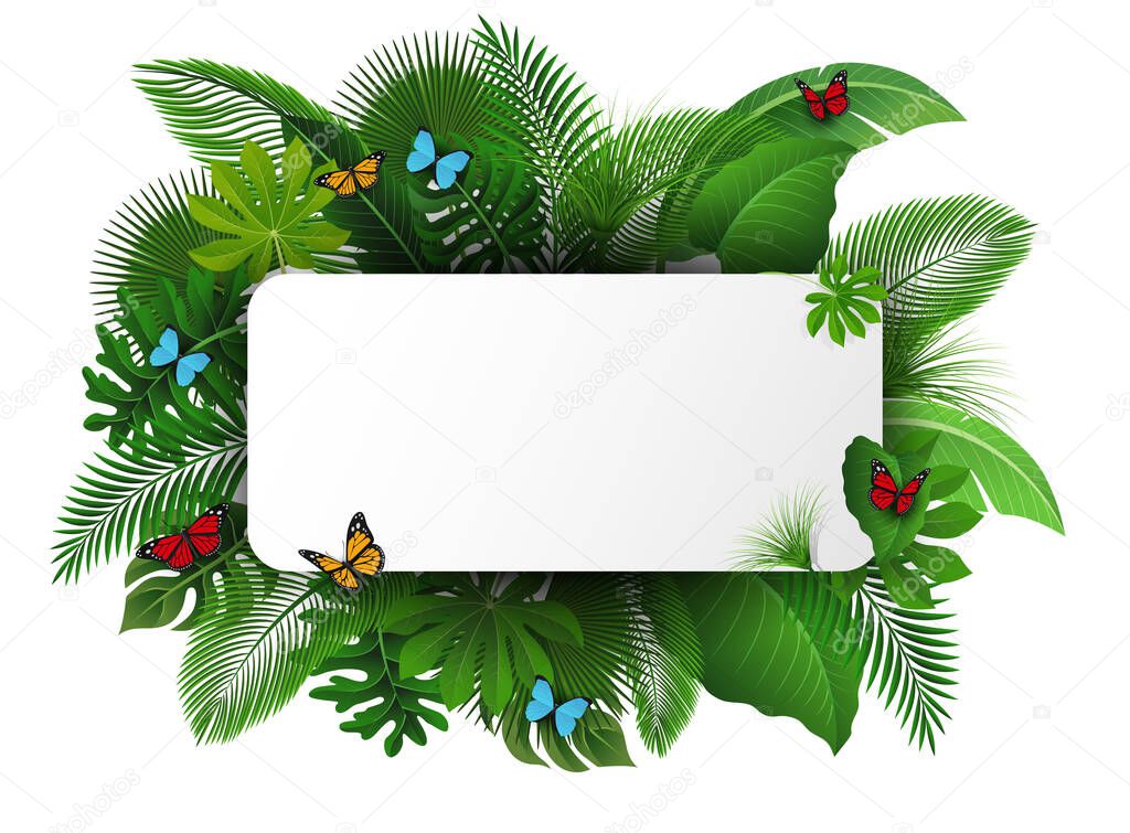 Sign with text space of Tropical Leaves and butterflies. Suitable for nature concept, vacation, and summer holiday. Vector Illustration