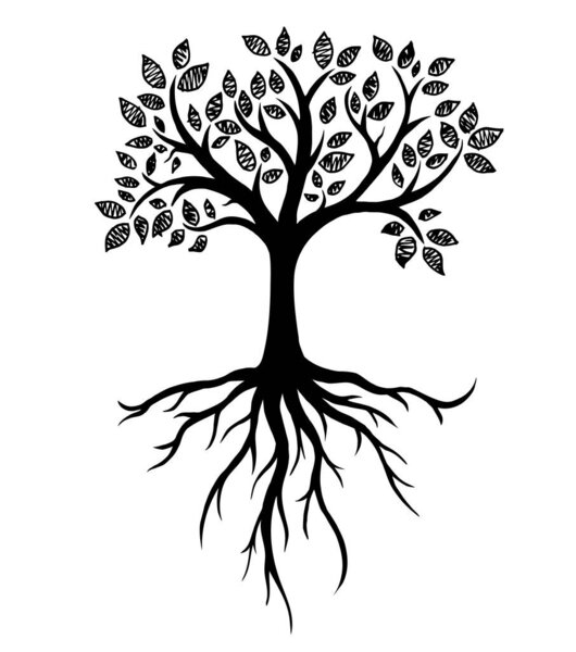 Tree silhouette with roots, real hand drawing