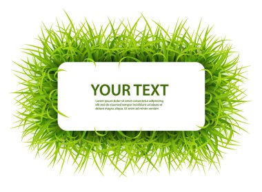 Young Grass 'in mesaj alanıyla imzala. Doğa konsepti, bahar ve yaz tatili için uygun. Vektör İllüstrasyonu