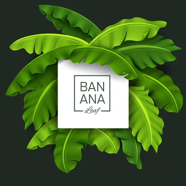 Banana Leaves Banner Green Tropical Leaf Realistic Look Fresh Vector — Stock Vector