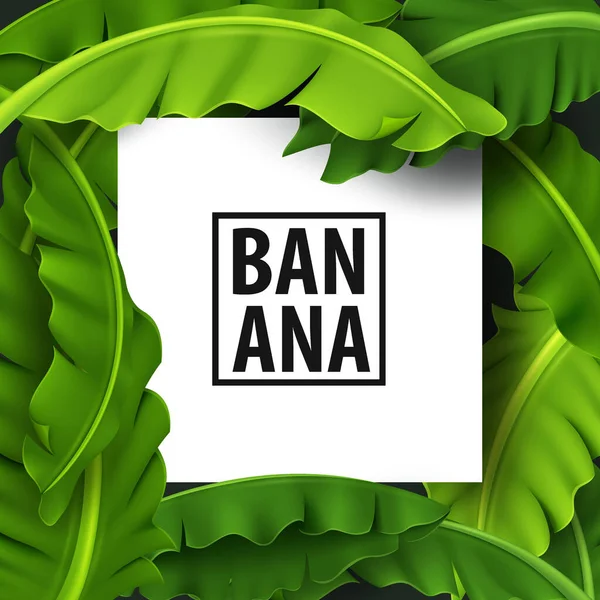 Banana Leaves Banner Green Tropical Leaf Realistic Look Fresh Vector — Stock Vector