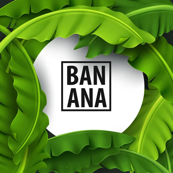Banana Leaves Banner Green Tropical Leaf Realistis Dan Terlihat Segar - Stok Vektor