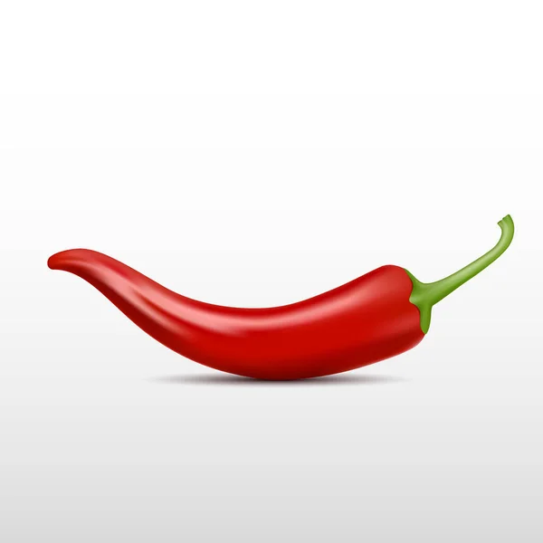 Realistyczne Chili Pepper Wektor Ilustracji Izolowanym Białym Tle — Wektor stockowy