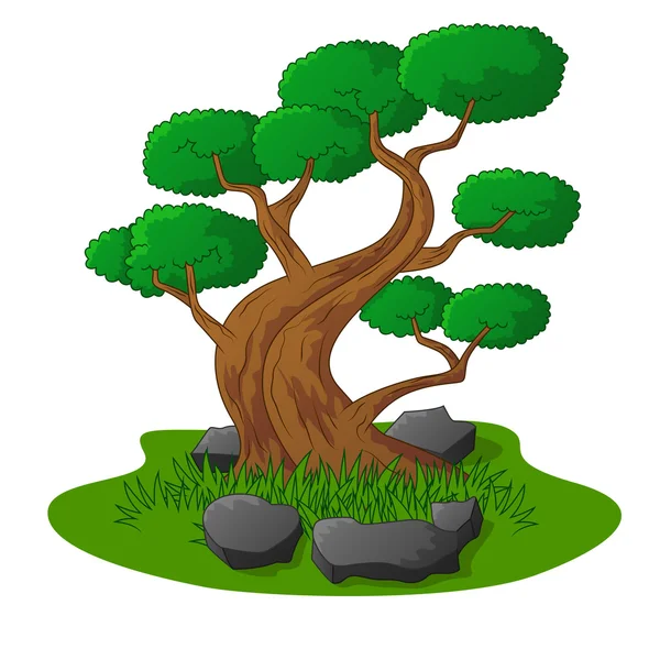 Elszigetelt, gyönyörű bonsai fa — Stock Vector