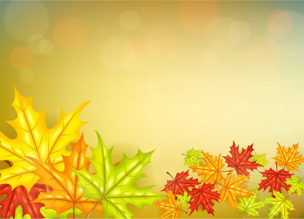 Fondo de hojas de otoño — Vector de stock