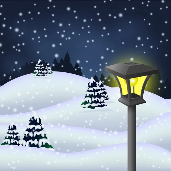 Zimní noci v parku s zahradní lampa — Stockový vektor