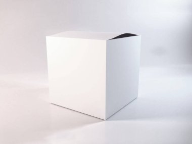 Gerçekçi Kutu Paketleme Şablonu