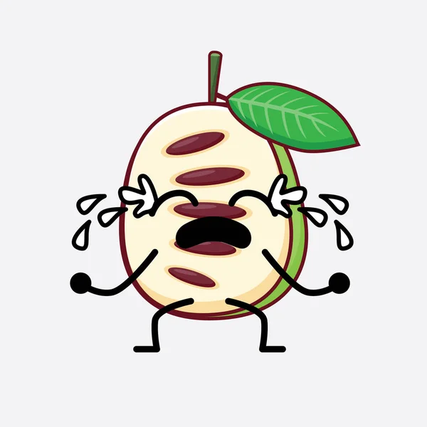 Ilustração Vetorial Pawpaw Fruit Character Com Rosto Bonito Mãos Simples — Vetor de Stock