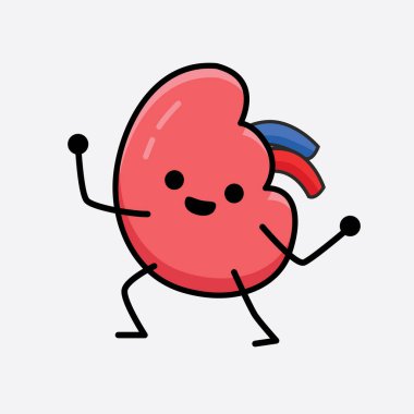 Böbrek Karakterinin güzel yüzü ve izole edilmiş arka planda basit bir vücut çizimi olan vektör illüstrasyonu