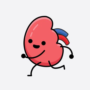 Böbrek Karakterinin güzel yüzü ve izole edilmiş arka planda basit bir vücut çizimi olan vektör illüstrasyonu