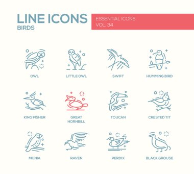 Kuşlar - satırı tasarım Icons set