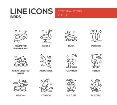 Kuşlar - satırı tasarım Icons set