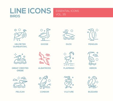 Kuşlar - satırı tasarım Icons set