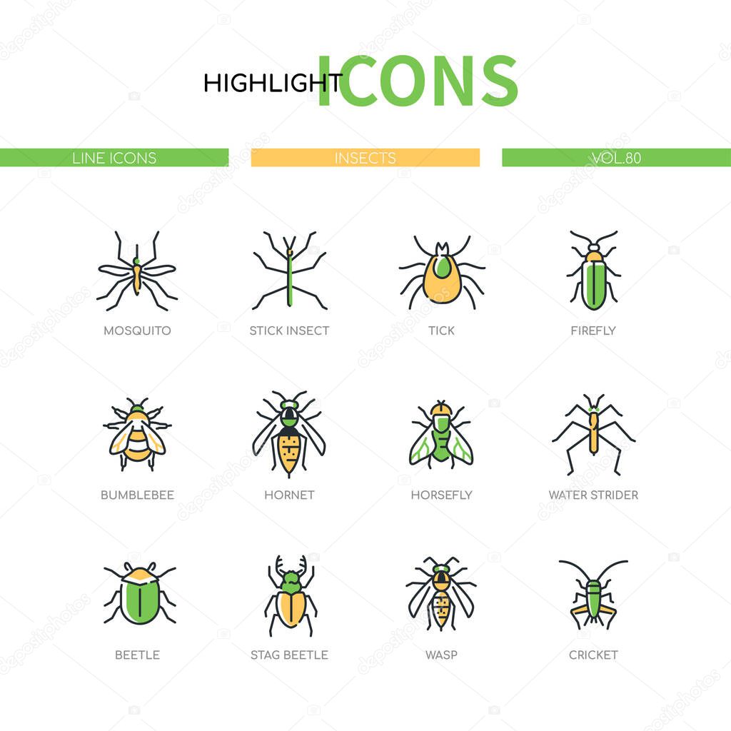 Insects collection - modern line design style icons set