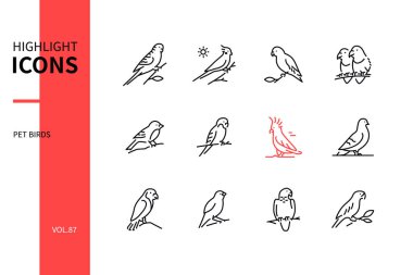 Evcil kuşlar - modern çizgi tasarım simgeleri