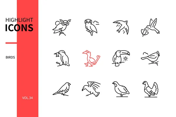 Spesies burung - set ikon gaya desain garis - Stok Vektor