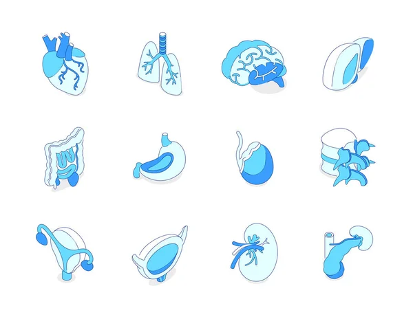 Menschliche innere Organe - moderne isometrische Symbole — Stockvektor