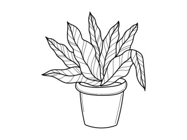 Kavanozda elle çizilmiş bir bitki. İskandinav tarzı, modern ve zarif ev dekorasyonu. Vektör poster tasarımı.