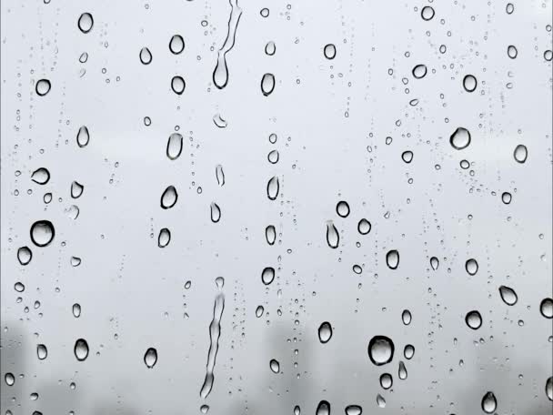 雨の水は窓ガラスに落ちる 白い水は青いガラスに落ちる 雨は窓に降ります 水滴はガラス表面に落ちます 水が落ちる 落ちろ — ストック動画