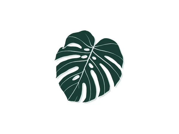 Handritad Monstera Inomhusväxt Skandinavisk Stil Illustration Med Monstera Modern Och — Stock vektor