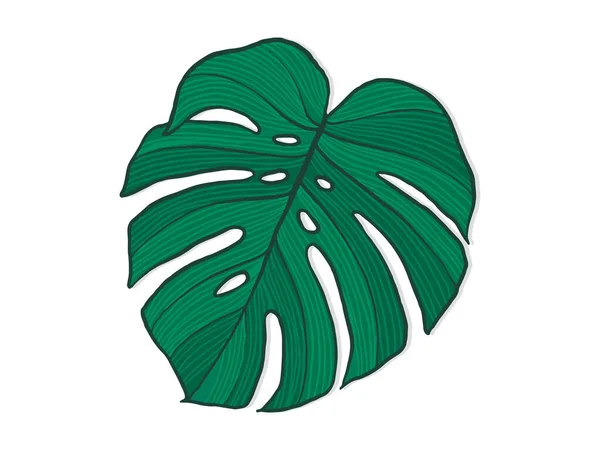 Handritad Monstera Inomhusväxt Skandinavisk Stil Illustration Med Monstera Modern Och — Stock vektor